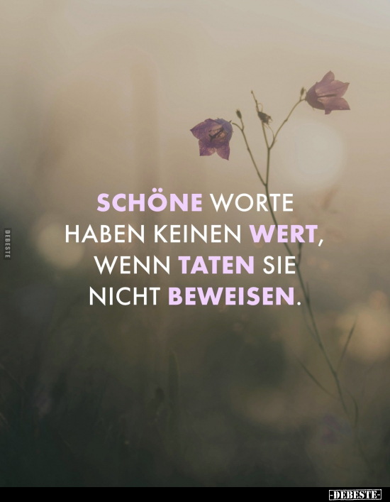 Schöne Worte haben keinen Wert.. - Lustige Bilder | DEBESTE.de