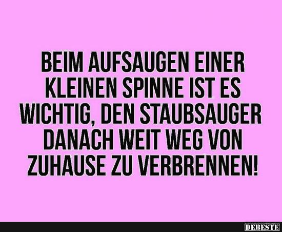 Beim Aufsaugen einer kleinen Spinne ist es wichtig..