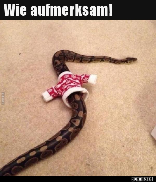 Wie aufmerksam!..