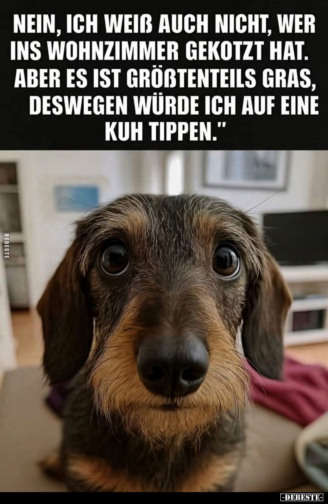 Nein, ich weiß auch nicht, wer ins Wohnzimmer gekotzt hat.
Aber es ist größtenteils Gras, deswegen würde ich auf eine Kuh ti...