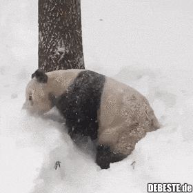  - Lustige Bilder | DEBESTE.de