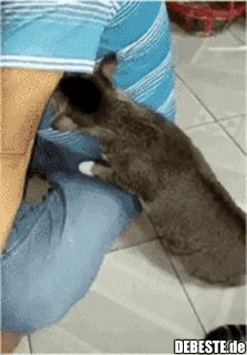 Ich glaube, du solltest mal duschen..