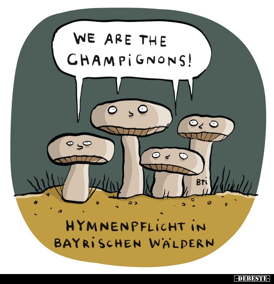 We are the Champignons!

Hymnenpflicht in bayrischen Wäldern.