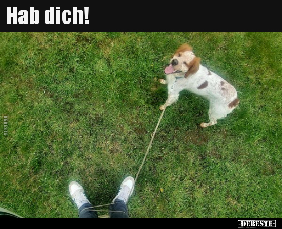 Hab dich!.. - Lustige Bilder | DEBESTE.de