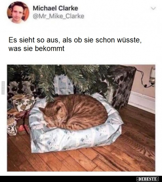 Es sieht so aus, als ob sie schon wüsste, was sie.. - Lustige Bilder | DEBESTE.de