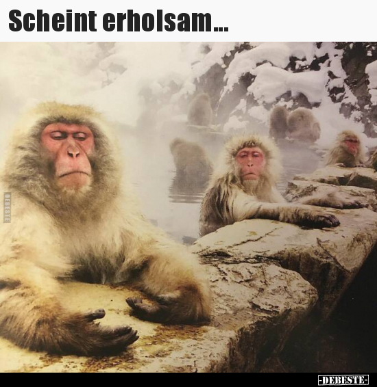 Scheint erholsam... - Lustige Bilder | DEBESTE.de