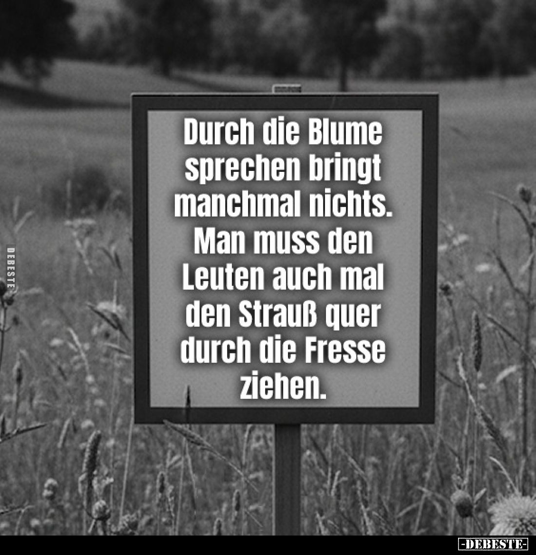 Durch die Blume sprechen bringt manchmal nichts.
Man muss den Leuten auch mal den Strauß quer durch die Fresse ziehen.