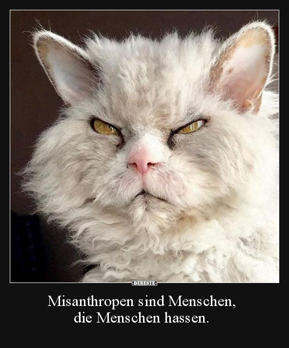 Misanthropen sind Menschen, die Menschen hassen... - Lustige Bilder | DEBESTE.de