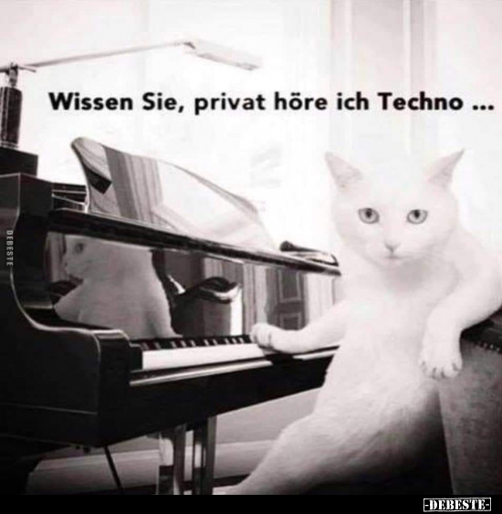 Wissen Sie, privat höre ich Techno.. - Lustige Bilder | DEBESTE.de