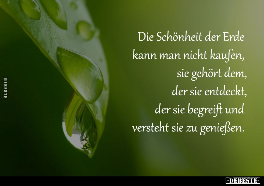 Die Schönheit der Erde
kann man nicht kaufen,
sie gehört dem,
der sie entdeckt,
der sie begreift und
versteht sie zu ...