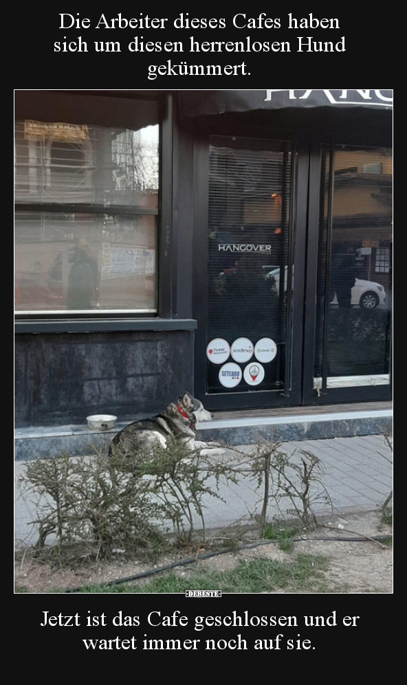 Die Arbeiter dieses Cafes haben sich um diesen herrenlosen..