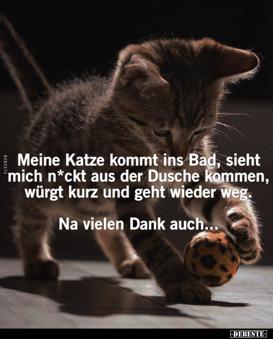 Meine Katze kommt ins Bad.. - Lustige Bilder | DEBESTE.de