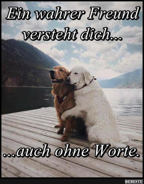 Ein wahrer Freund versteht dich.. - Lustige Bilder | DEBESTE.de
