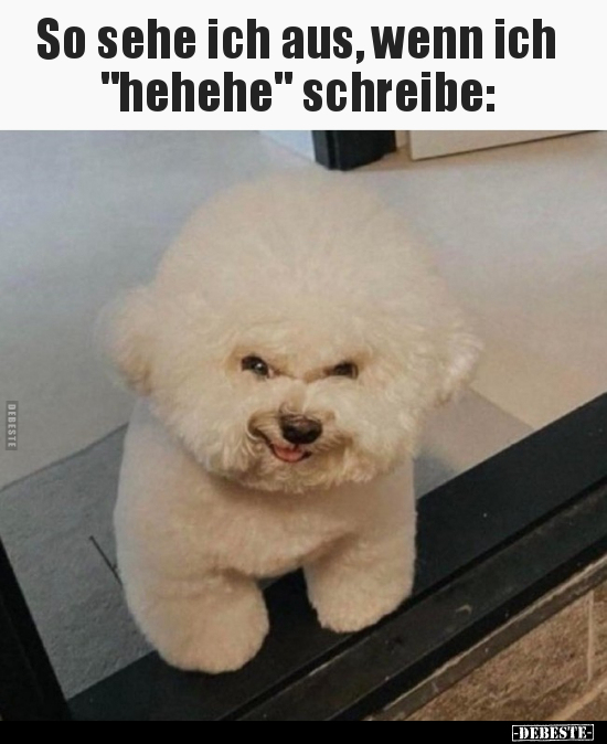 So sehe ich aus, wenn ich "hehehe" schreibe.. - Lustige Bilder | DEBESTE.de