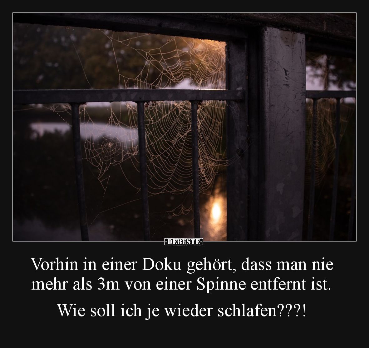 Vorhin in einer Doku gehört, dass man nie mehr als 3m von einer Spinne entfernt ist. 

Wie soll ich je wieder schlafen???!