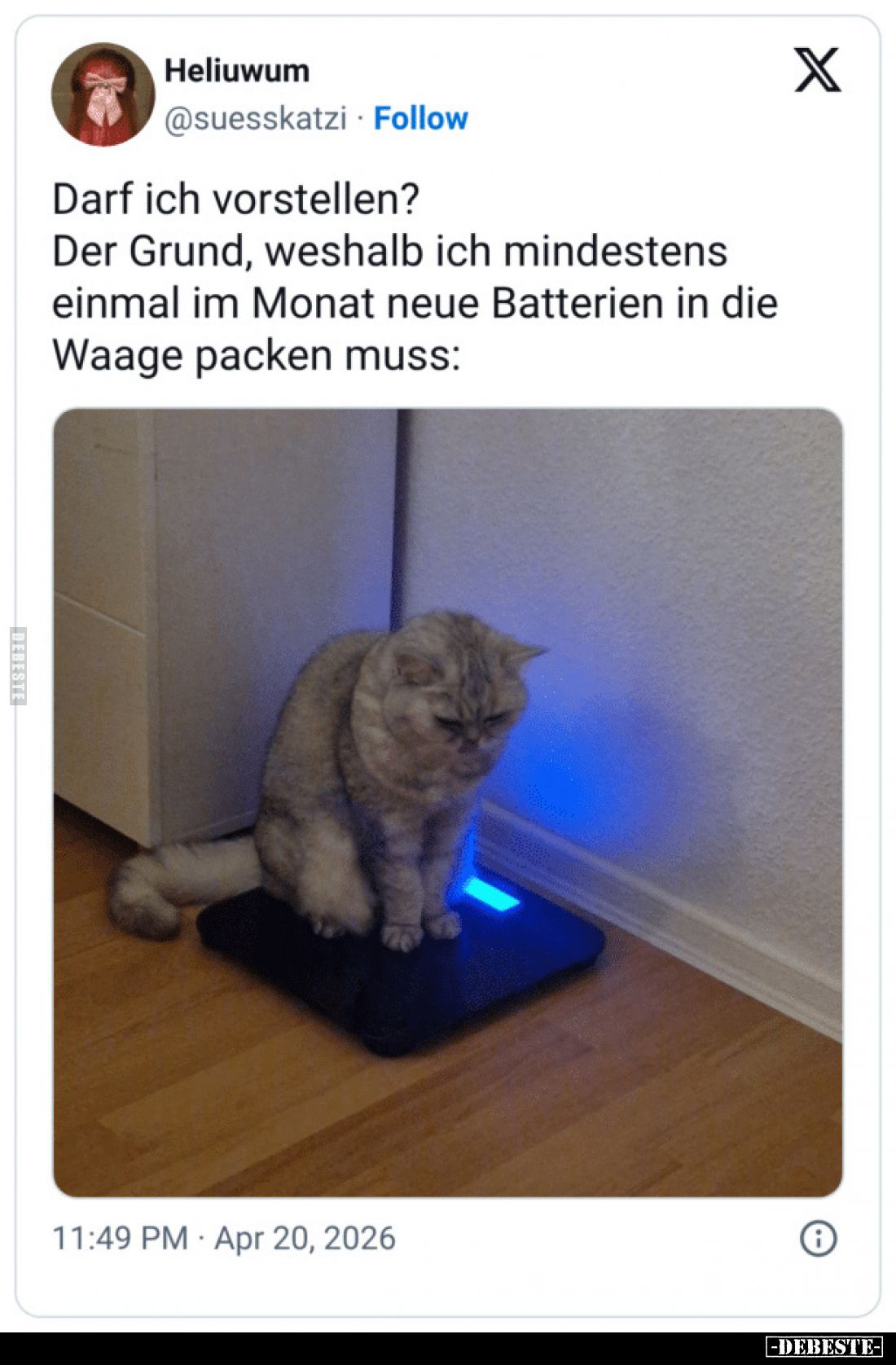 Darf ich vorstellen?
Der Grund, weshalb ich mindestens einmal im Monat neue Batterien in die Waage packen muss: