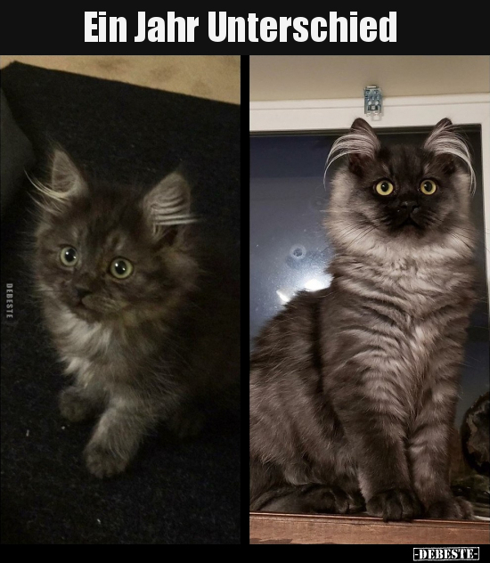 Ein Jahr Unterschied