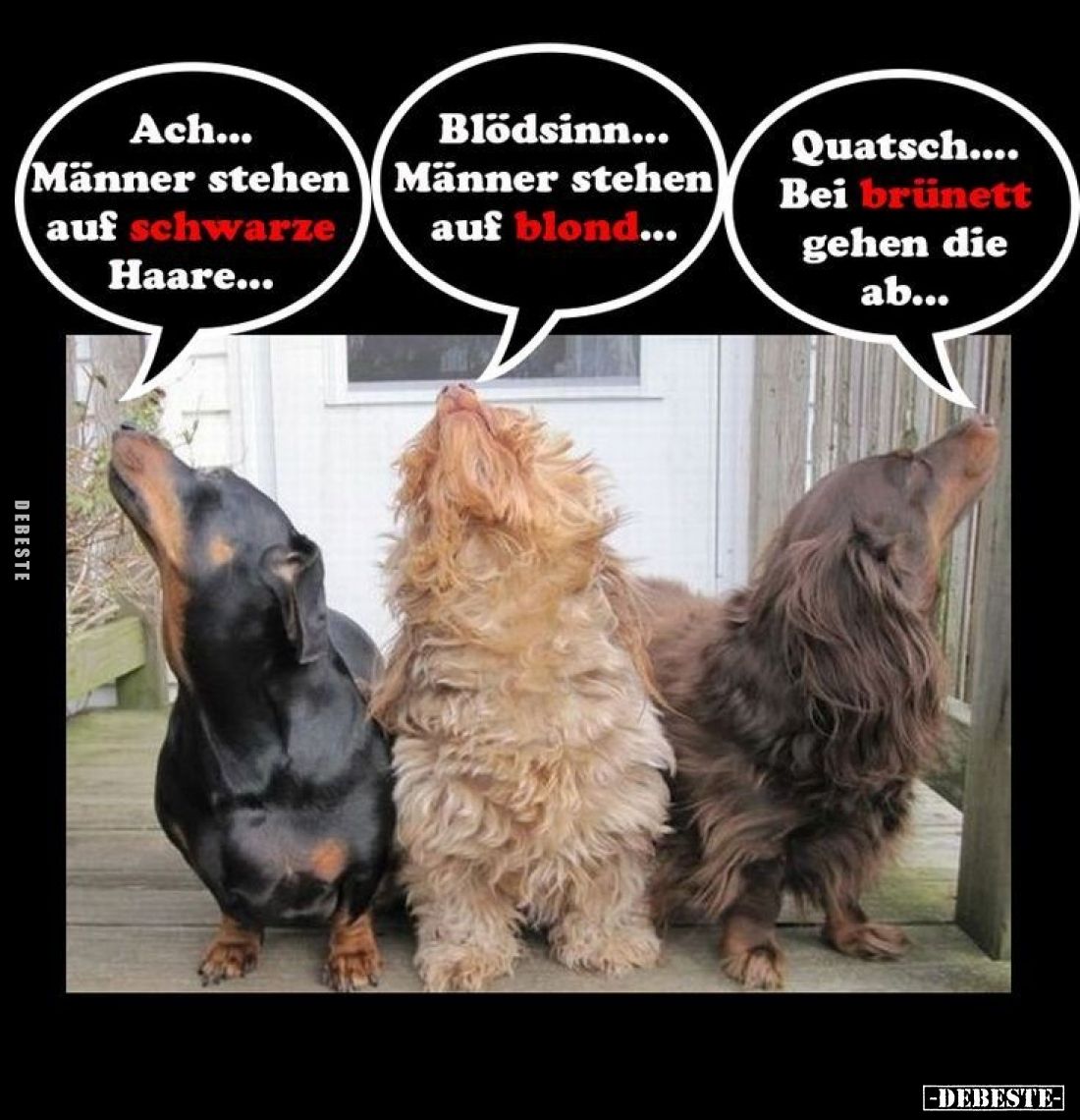 Ach... Männer stehen auf schwarze Haare... -
Blödsinn... Männer stehen auf blond... -
Quatsch.... Bei brünett gehen die ab....