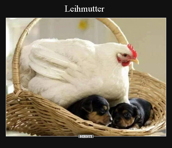 Leihmutter.. - Lustige Bilder | DEBESTE.de