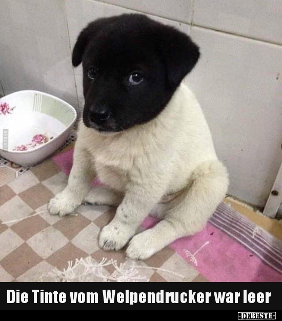 Die Tinte vom Welpendrucker war leer..