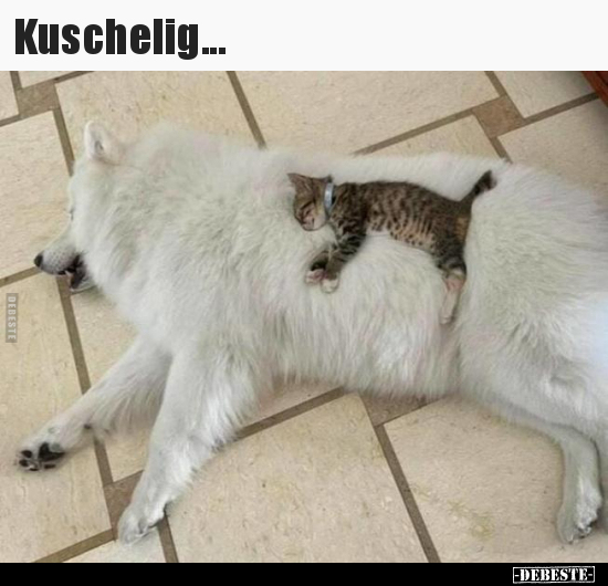Kuschelig...