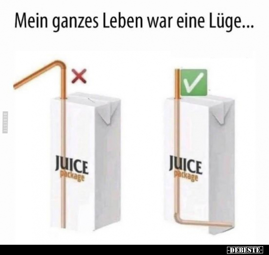 Mein ganzes Leben war eine Lüge... - Lustige Bilder | DEBESTE.de