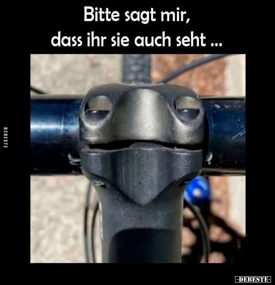 Bitte sagt mir, dass ihr sie auch seht...