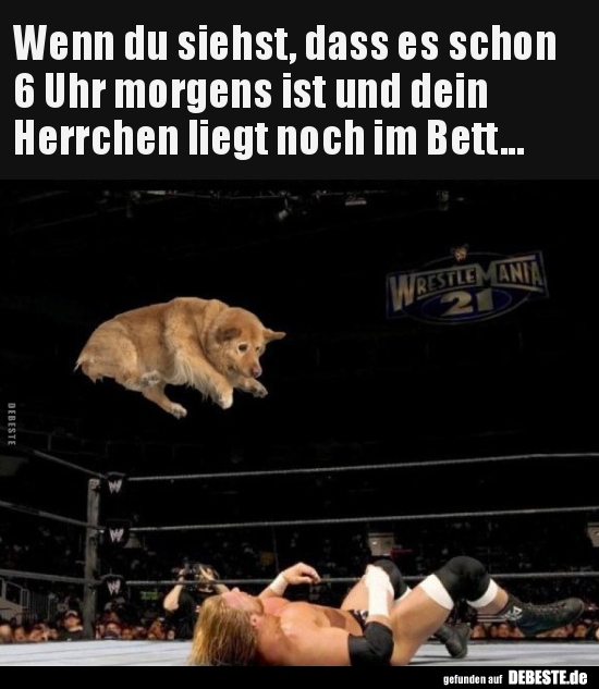 Wenn du siehst, dass es schon 6 Uhr morgens..