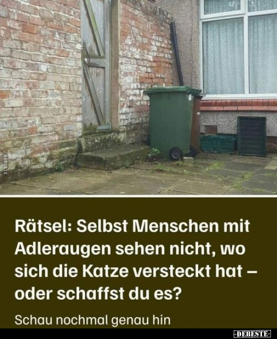Rätsel: Selbst Menschen mit Adleraugen sehen nicht.. - Lustige Bilder | DEBESTE.de