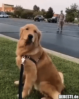 Schau, wer zurückgekommen ist...