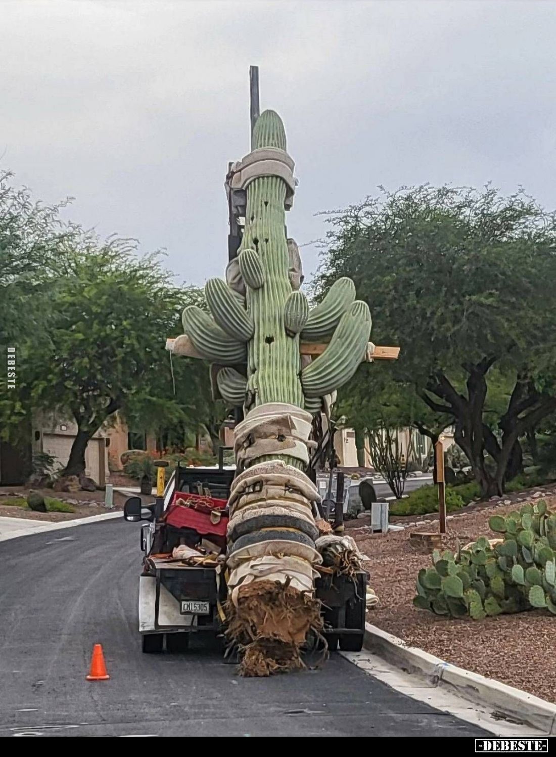  - Lustige Bilder | DEBESTE.de