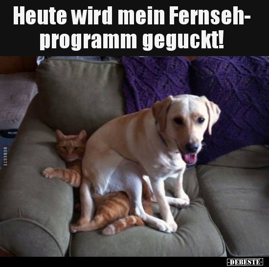Heute wird mein Fernseh- programm geguckt!.. - Lustige Bilder | DEBESTE.de