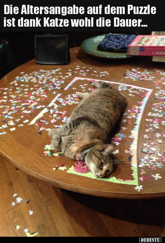 Die Altersangabe auf dem Puzzle ist dank Katze wohl die..