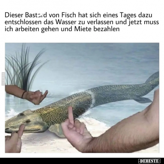 Dieser Bastard von Fisch hat sich eines Tages dazu.. - Lustige Bilder | DEBESTE.de