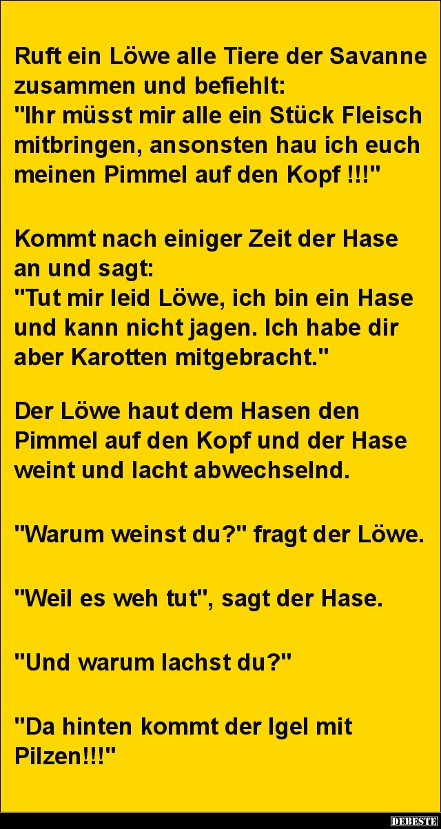 Ruft ein Löwe alle Tiere der Savanne zusammen.. - Lustige Bilder | DEBESTE.de