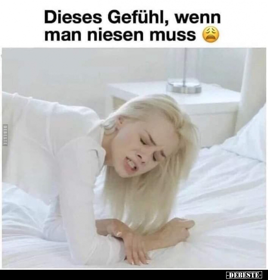 Dieses Gefühl, wenn man niesen muss..