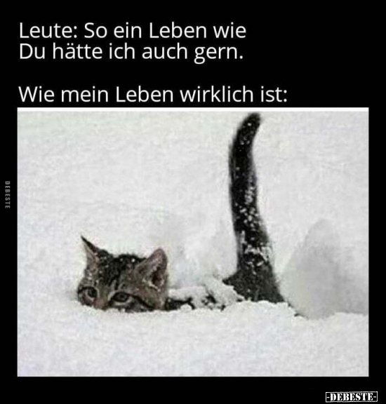 Leute: So ein Leben wie Du hätte ich auch gern. Wie mein Leben wirklich ist: