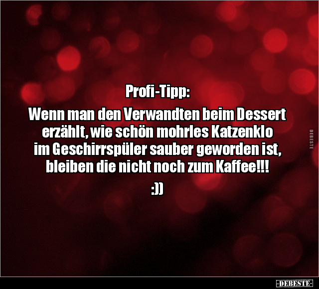 Profi-Tipp: Wenn man den Verwandten beim Dessert erzählt.. - Lustige Bilder | DEBESTE.de