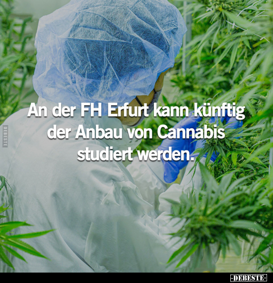 An der FH Erfurt kann künftig der Anbau von Cannabis.. - Lustige Bilder | DEBESTE.de
