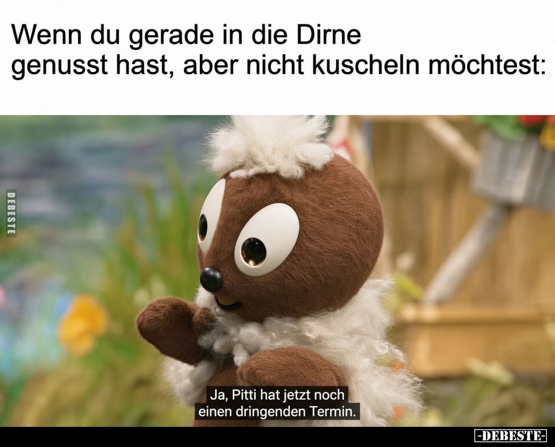 Wenn du gerade in die Dirne genusst hast, aber nicht kuscheln möchtest:
Ja, Pitti hat jetzt noch einen dringenden Termin.