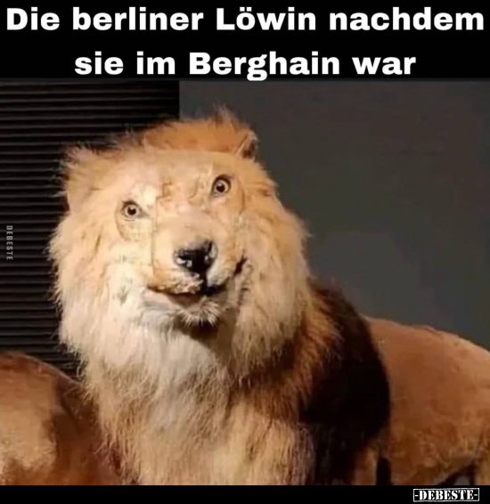 Die berliner Löwin nachdem sie im Berghain war.. - Lustige Bilder | DEBESTE.de