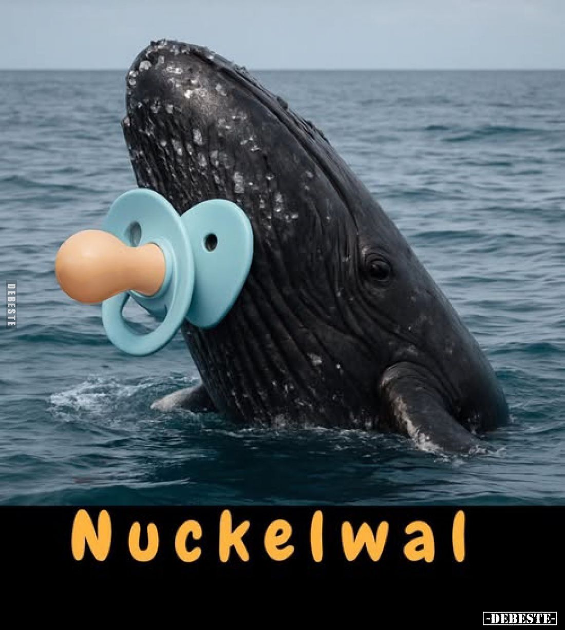 Nuckelwal.