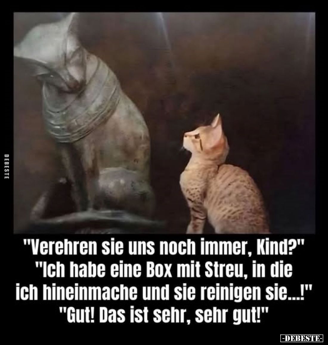 "Verehren sie uns noch immer, Kind?"
"Ich habe eine Box mit Streu, in die ich hineinmache und sie reinigen si...
