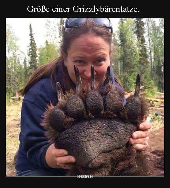 Größe einer Grizzlybärentatze... - Lustige Bilder | DEBESTE.de