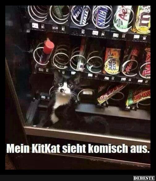 Mein KitKat sieht komisch aus.