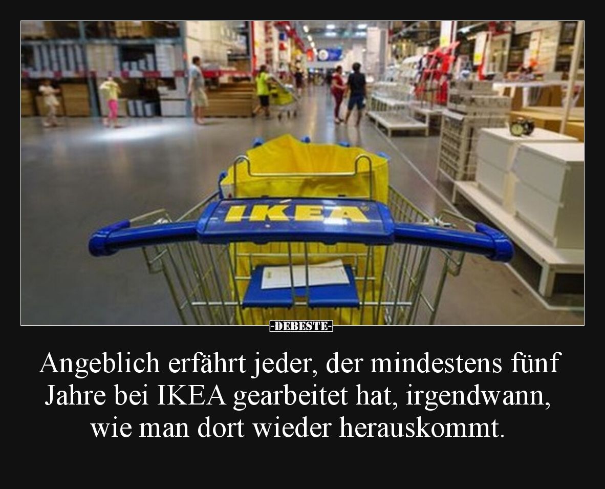 Angeblich erfährt jeder, der mindestens fünf Jahre bei IKEA gearbeitet hat, irgendwann, wie man dort wieder herauskommt.