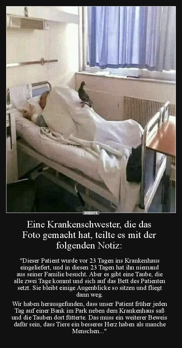 Eine Krankenschwester, die das Foto gemacht hat, teilte.. - Lustige Bilder | DEBESTE.de