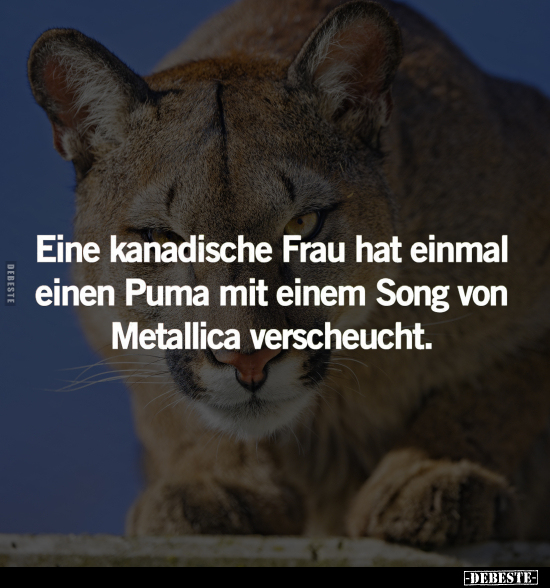 Eine kanadische Frau hat einmal einen Puma.. - Lustige Bilder | DEBESTE.de