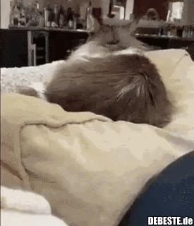 So, das reicht nun...