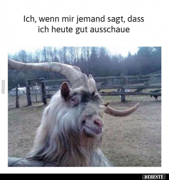Ich, wenn mir jemand sagt, dass ich heute gut ausschaue..